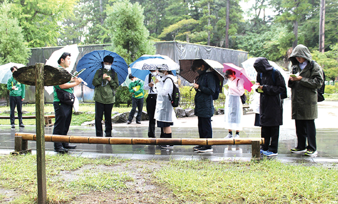 松島高校観光科の生徒が瑞巌寺参道の津波到達地点を説明